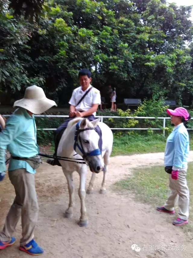 ���ҷ���׌��������á�2015��B�T�м�����(ji��)�����