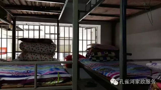 ��ȸ�Ӽ�����ķ������ů��ů��������