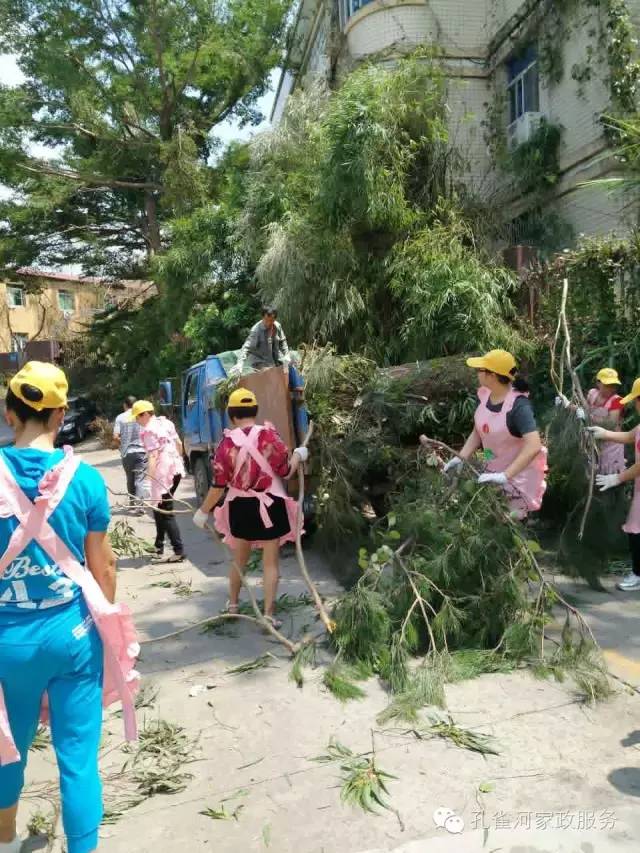 ��������y���������