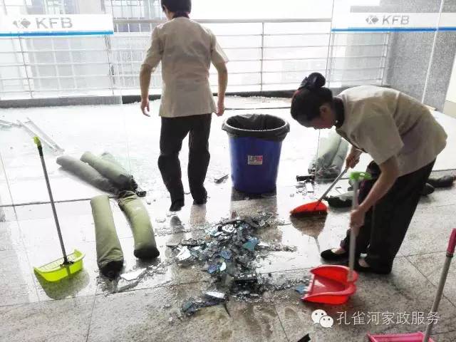 ��������y���������