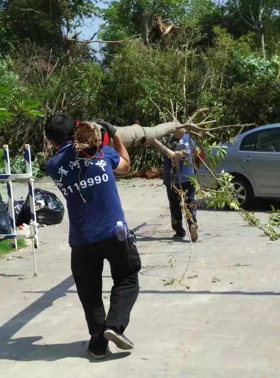 廈門家政公司接力災(zāi)后重建義工活動